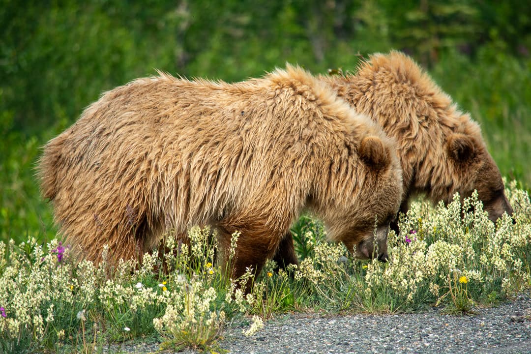 Photography sample 18