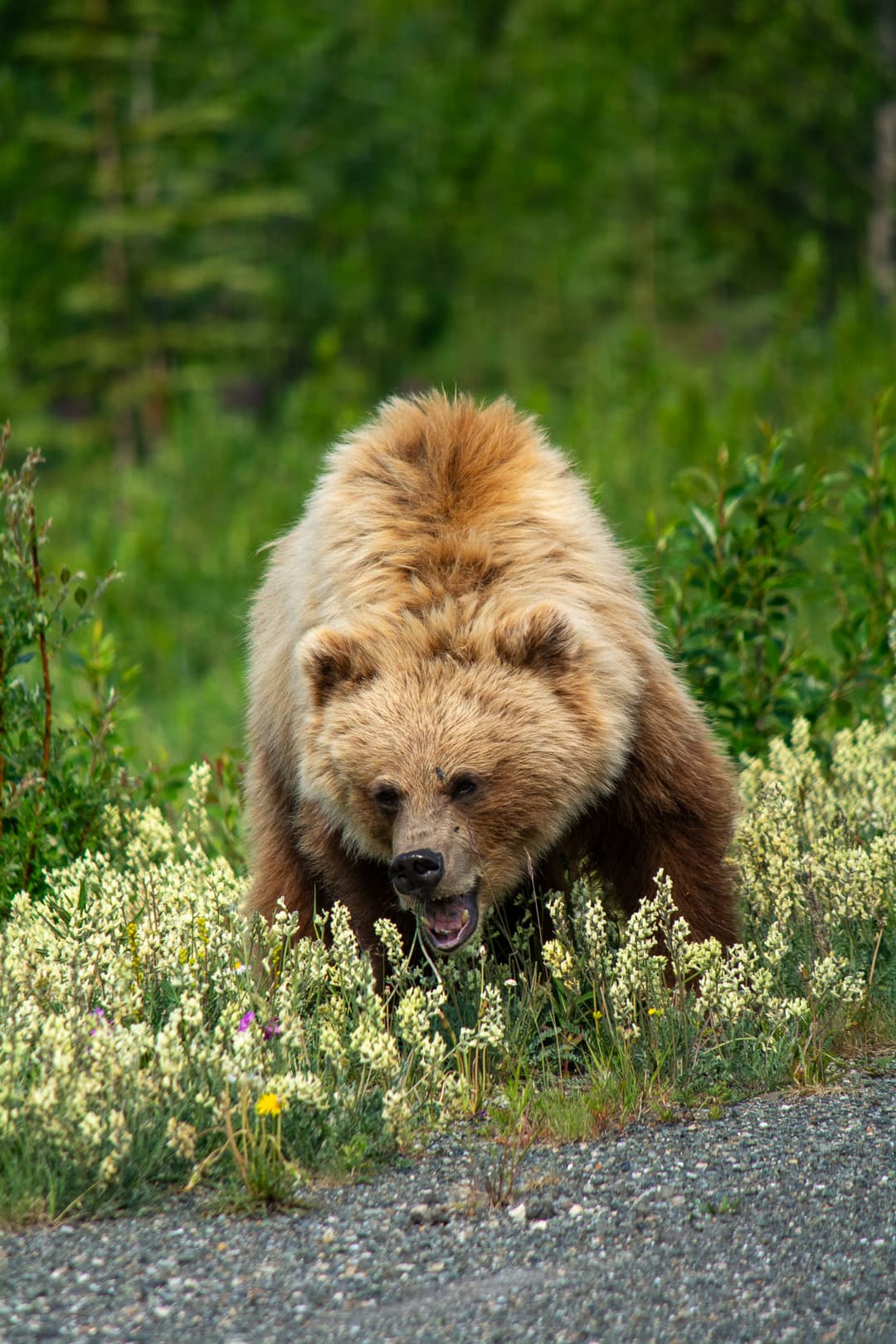 Photography sample 19