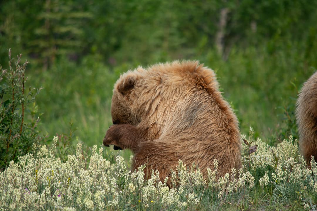 Photography sample 20