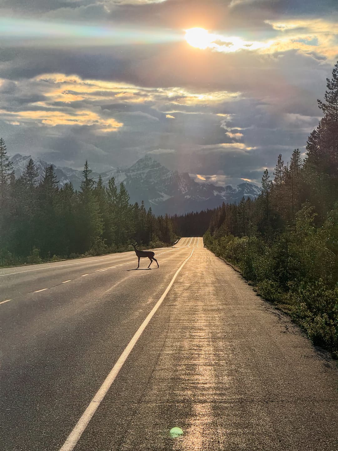 Photography sample 21